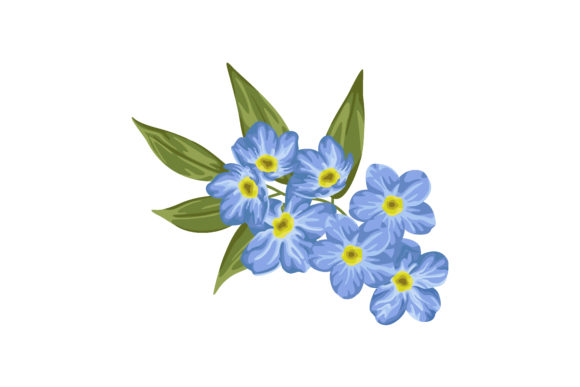 Download Forget Me Not Flower Illustration - For Collection